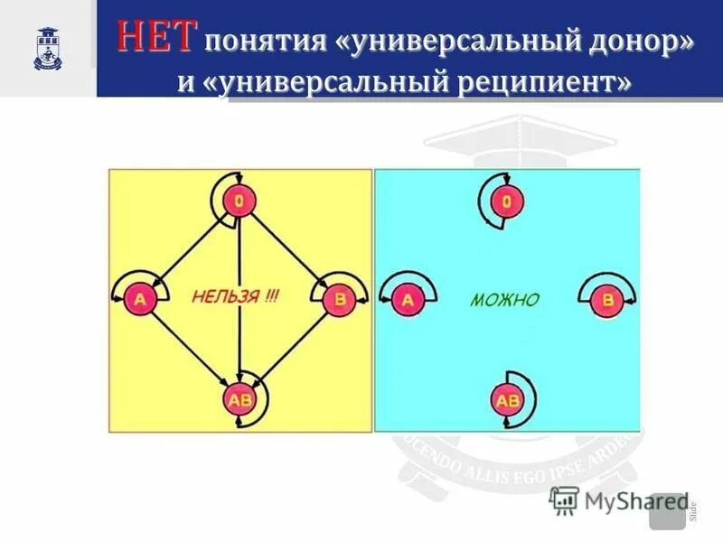 Универсальные доноры и реципиенты крови