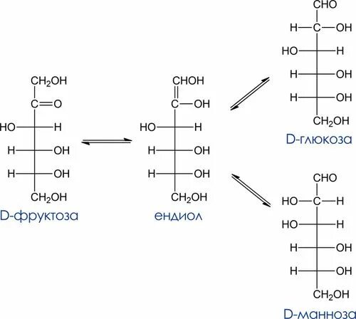 Окисление фруктозы последовательность. Восстановление фруктозы реакция. Реакции восстановления моносахаридов сорбит ксилит. Восстановление моносахаридов ксилит сорбит. Восстановление моносахаридов сорбит.