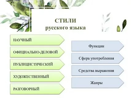 Жанры текста в русском языке