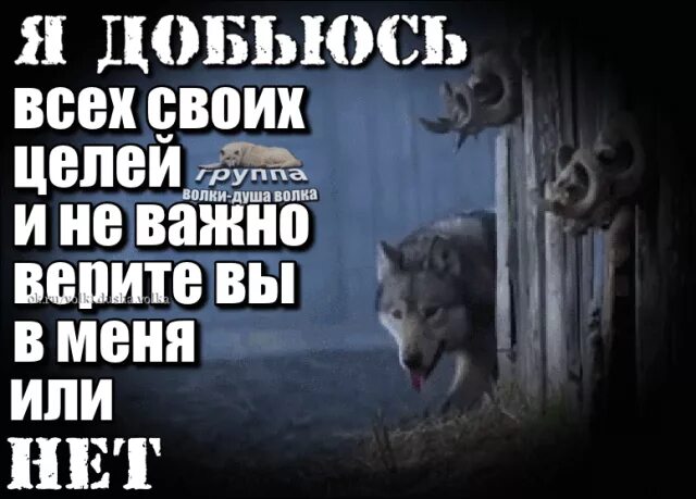 Почему говорят волк. Душа волка. Душа волка в человеке. Волки душа волка. Как говорит волк.