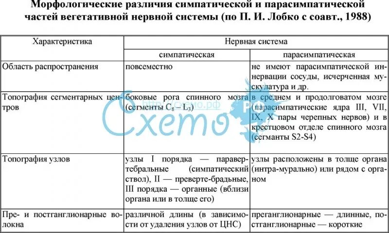 Физиологические механизмы регуляции вегетативных функций - Студопедия