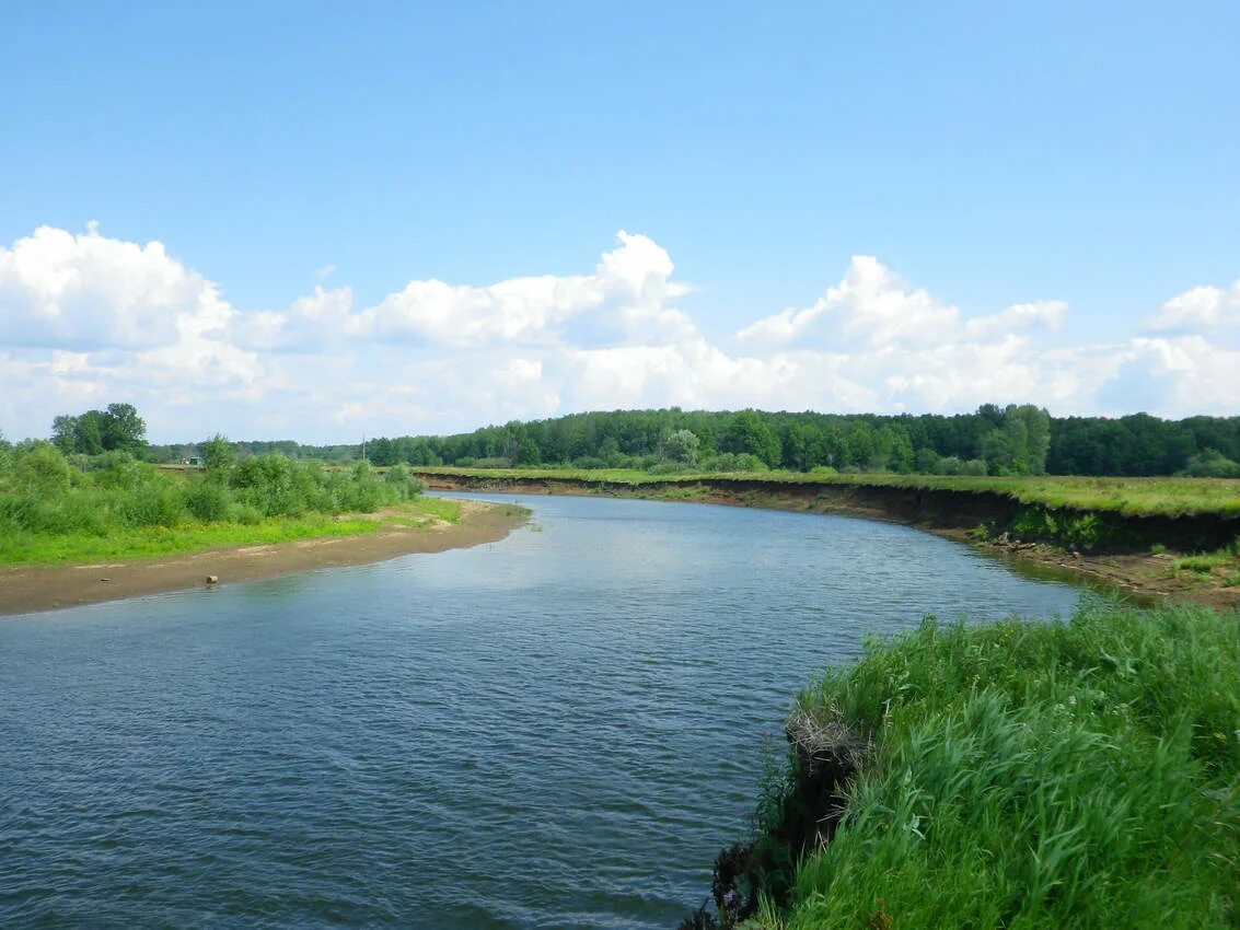погода в докше на 3 дня удмуртия