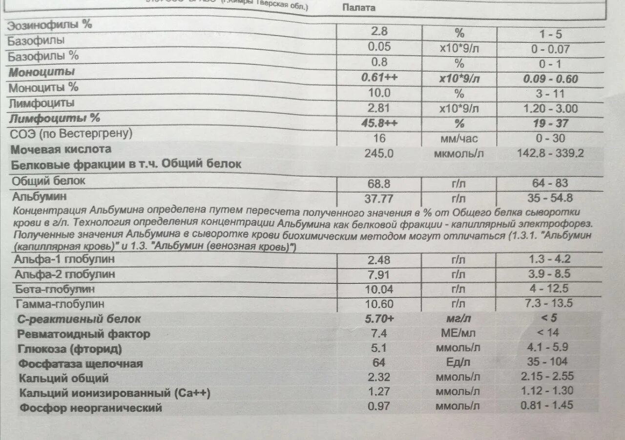 Wbc в общем анализе. Wbc в общем анализе