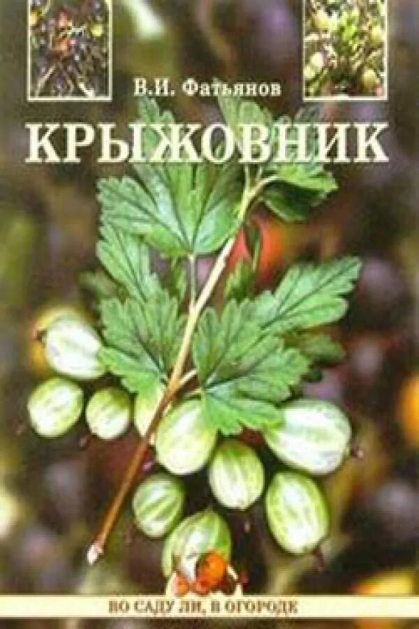 Крыжовник читать полностью. Крыжовник книга. Крыжовник обложка. Крыжовник обложка книги. Крыжовник Чехов книга.