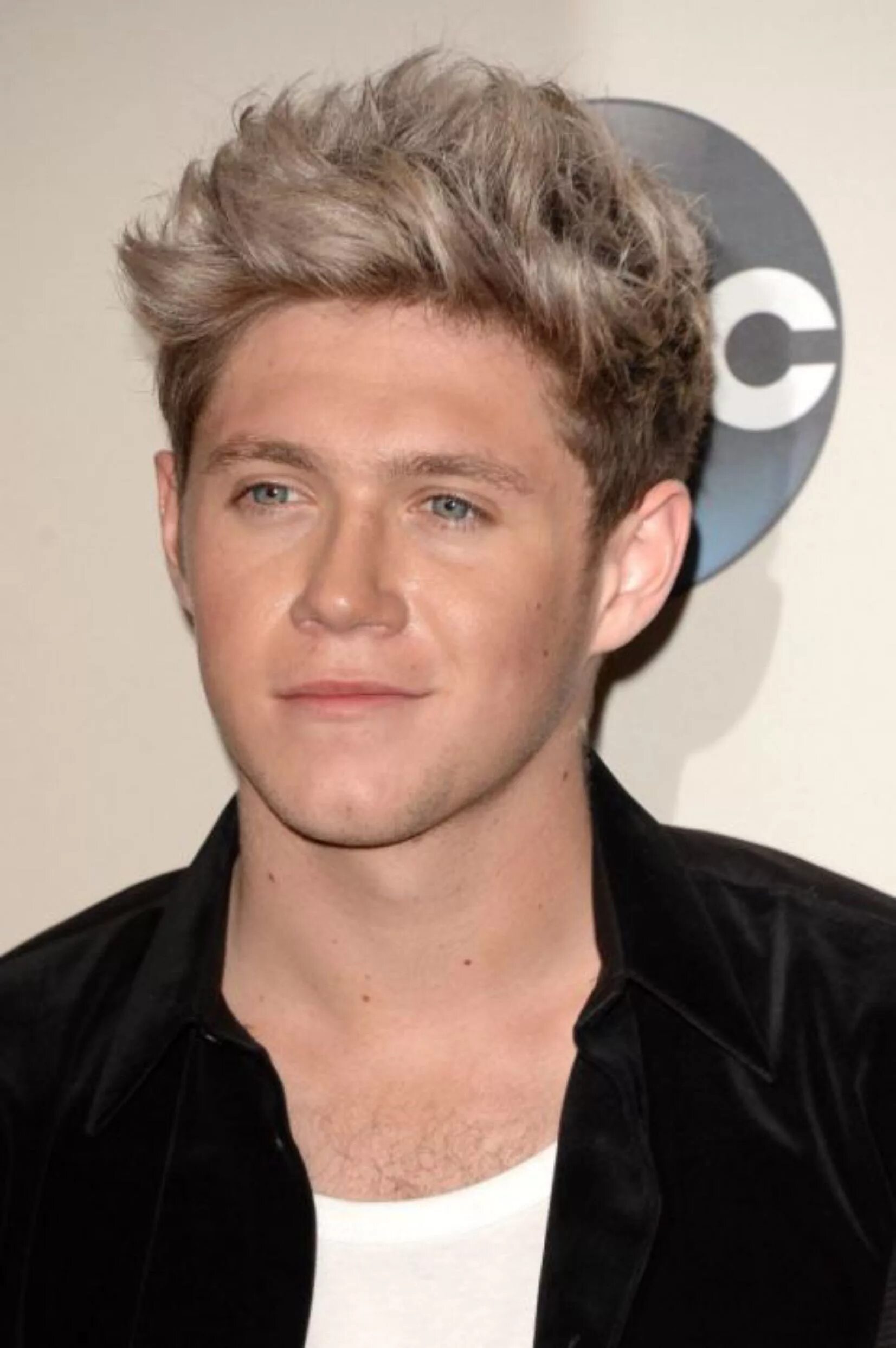 Найл Хоран. Хоран, Найл Джеймс. One Direction Найл Хоран. Niall Horan 2014.