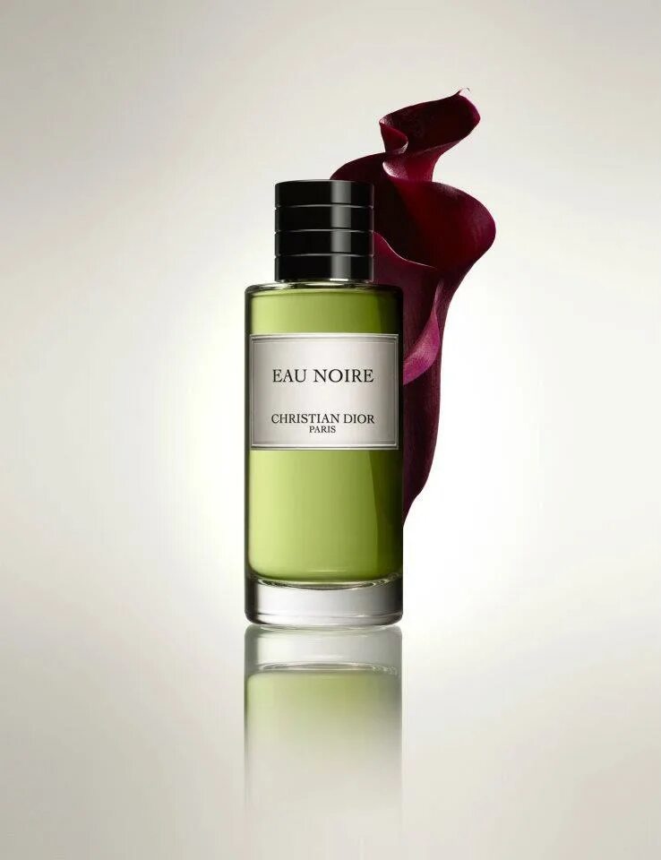 Dior noire. Диор бланш. Духи диор нуар черные. Dior noire. Dior noire.