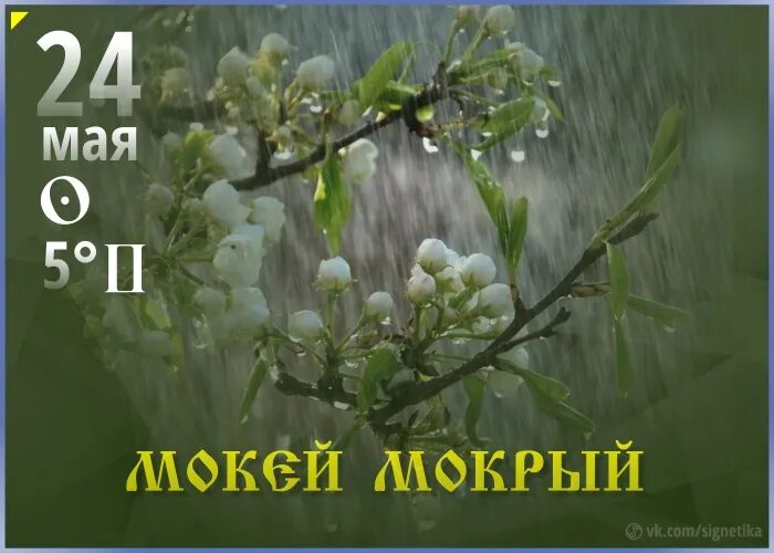 Майские 24. Мокий мокрый. Мокий мокрый 24 мая. Мокий мокрый народные приметы. Мокей мокрый приметы.