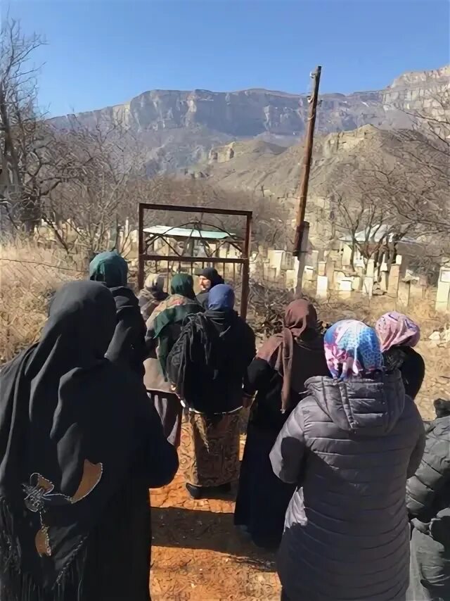 Курми. Курми Гергебильский район. Село курми Гергебильский район. Куруми Гергебильский район. Село Могох Гергебильский район.