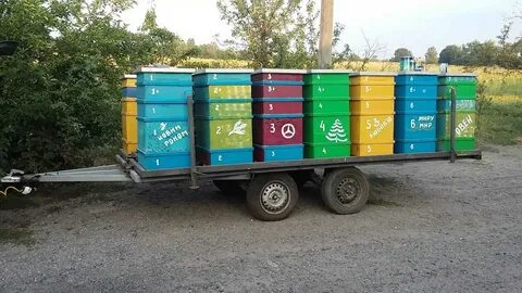 Прицеп для пчел