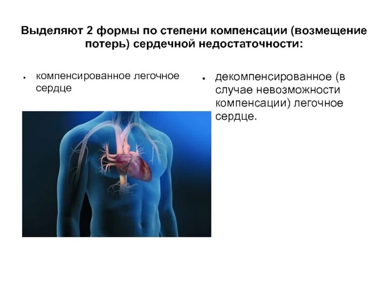 Компенсированное и декомпенсированное легочное сердце. Хроническое декомпенсированное легочное сердце. Легочное сердце стадия компенсации. Хроническое легочное сердце в стадии компенсации. Хроническая легочно сердечная недостаточность