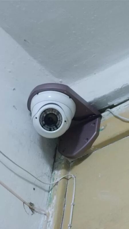 Камера видеонаблюдения подъезд ПВН. Камера для слежения в квартире. Купольная камера видеонаблюдения на стену. Купольная видеокамера в подъезде. Установлена камера в квартире можно