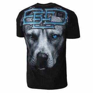 Blue eyed devils