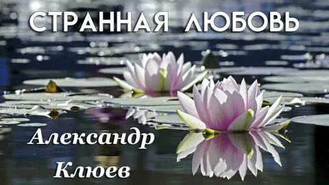 Сцены с лотосами геншин