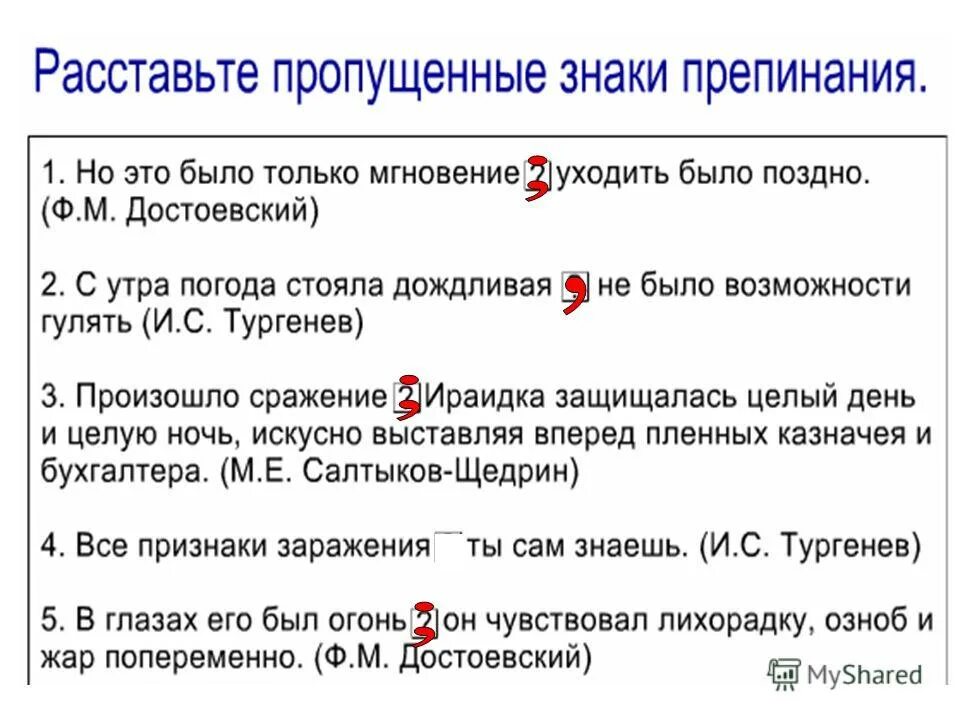 Предложения из литературы с точкой запятой