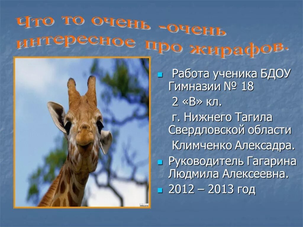 Проект про жирафа 5 класс Картинки ЖИРАФ ОСНОВНАЯ МЫСЛЬ