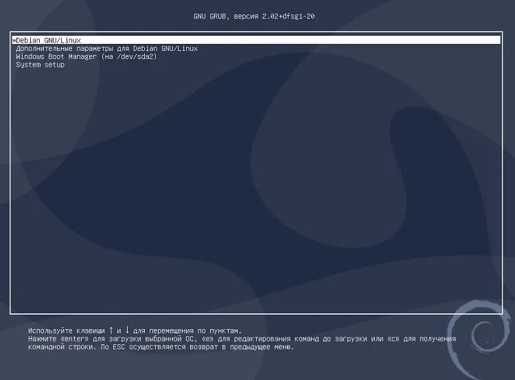 Не загружается debian. Установка линукс debian. после установки linux windows не загружается.