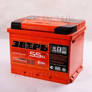 Зверь 55
