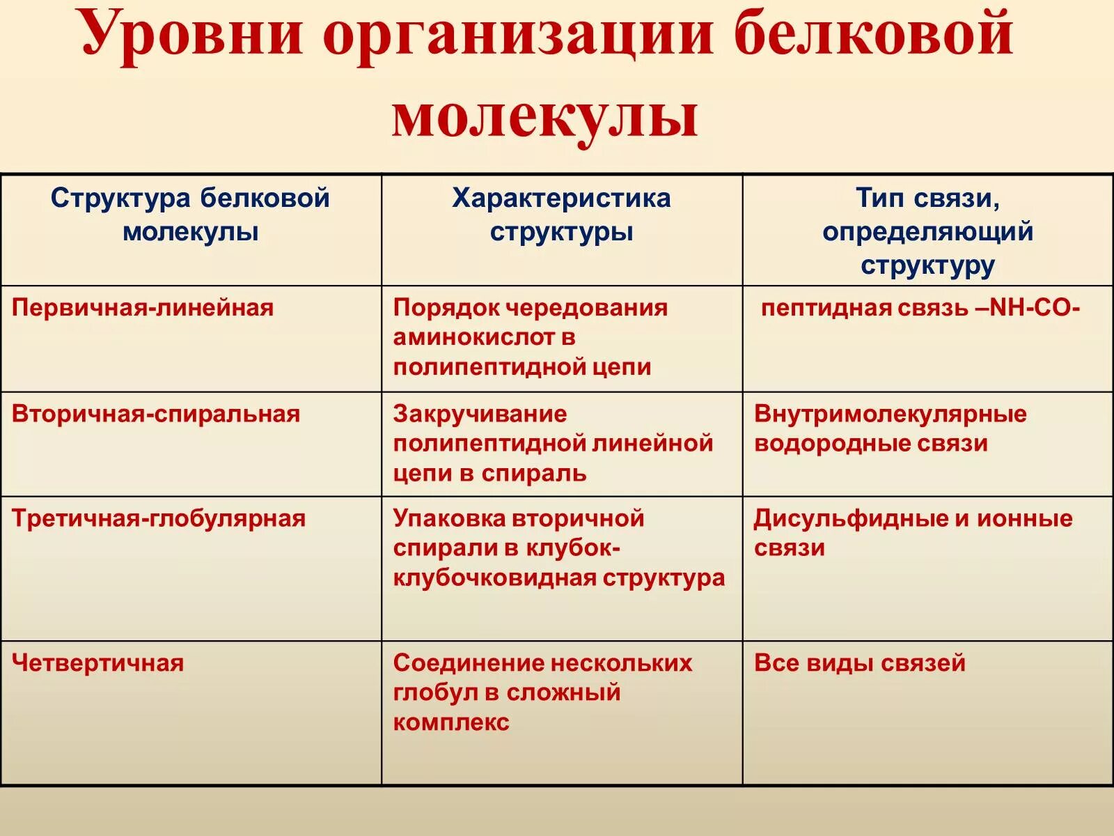 Белки. Уровни структурной организации белковой молекулы. Уровни организации белковых молекул кратко. Уровни организации молекул белка таблица. Структура организации белковой молекулы. 4 организации белка