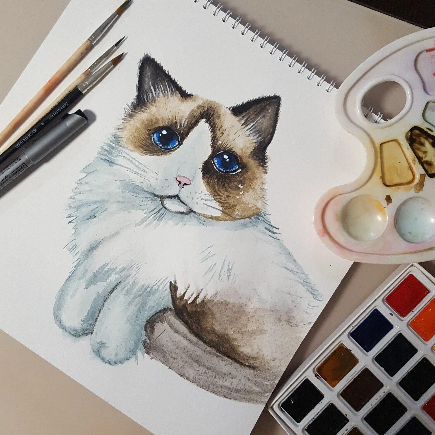 Коты маркерами. Котик маркерами. скетчинг маркерами животные. скетчинг кошки. скетчинг маркерами кот.