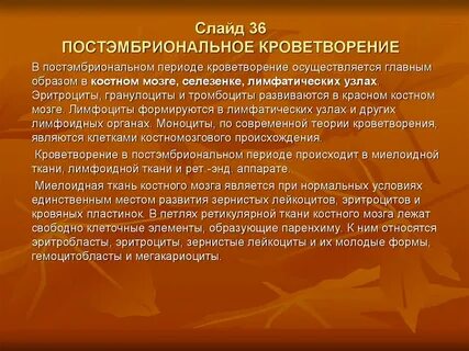 Кроветворение в костном