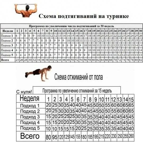 Сколько надо отжиманий. Схема подтягиваний на турнике для начинающих. Таблица подтягиваний на турнике с нуля 0. Подтягивания схема тренировок. Программа тренировок для увеличения подтягиваний и отжиманий.