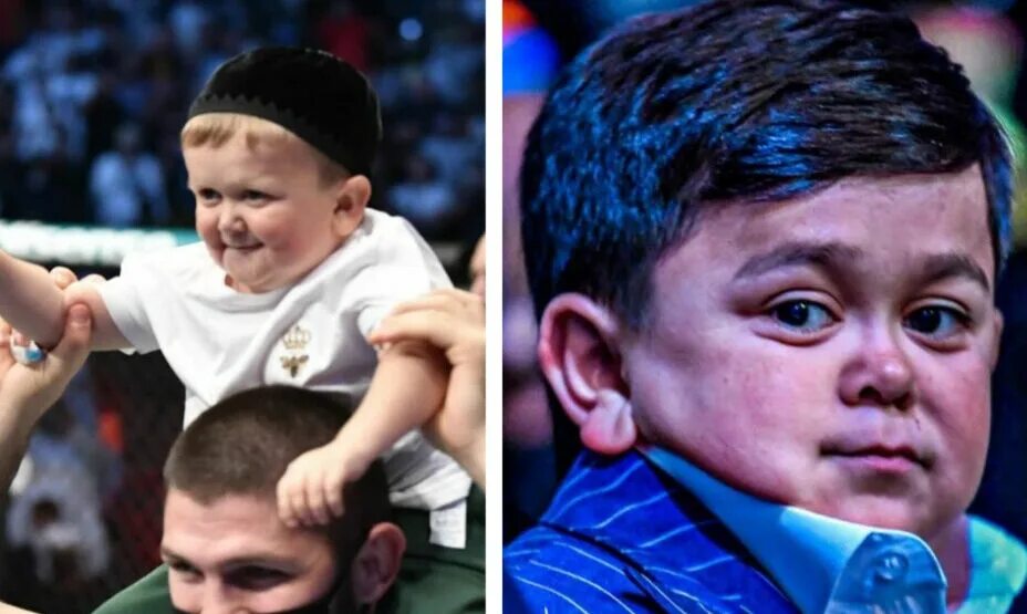 Хасбулла хасбик. Хасбик давай давай. Хасбик с шашлыком. Хасбик давай давай. Хасбик.