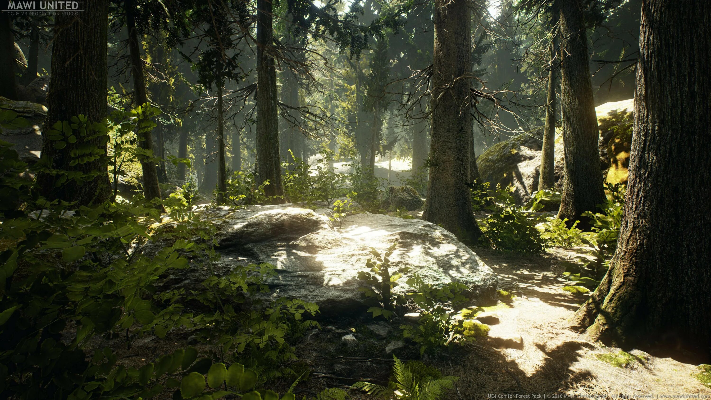 Ue4 forest. Деревья в лесу. Unreal engine 4 лес. Атмосферный лес. Хвойный лес мещерский парк.
