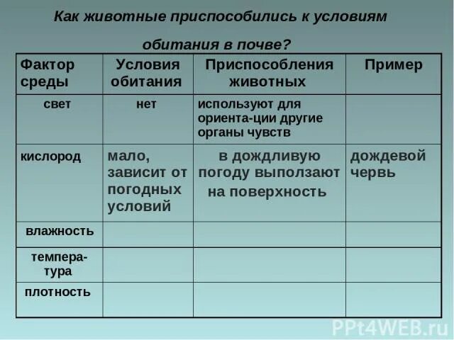 Условия жизни организмов в почвенной среде. Приспособленность к почвенной среде обитания. Приспособленность животных к почвенной среде обитания. Приспособленность растений к почвенной среде обитания. Приспособленность к среде обитания почвенной среды.