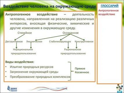 Какая ткань защищает растения от неблагоприятных воздействий