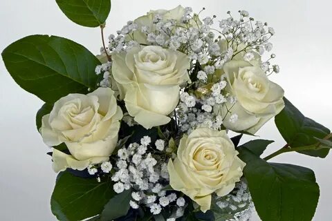 White flower day
