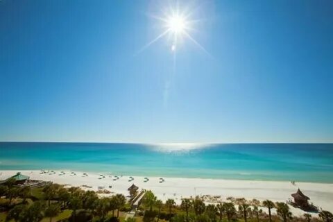 Sunny