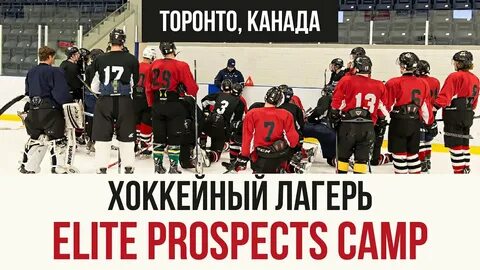 Eliteprospects хоккей