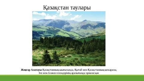 Овуляция кезінде мен презервативпен жыныстық қатынасқа түстім.