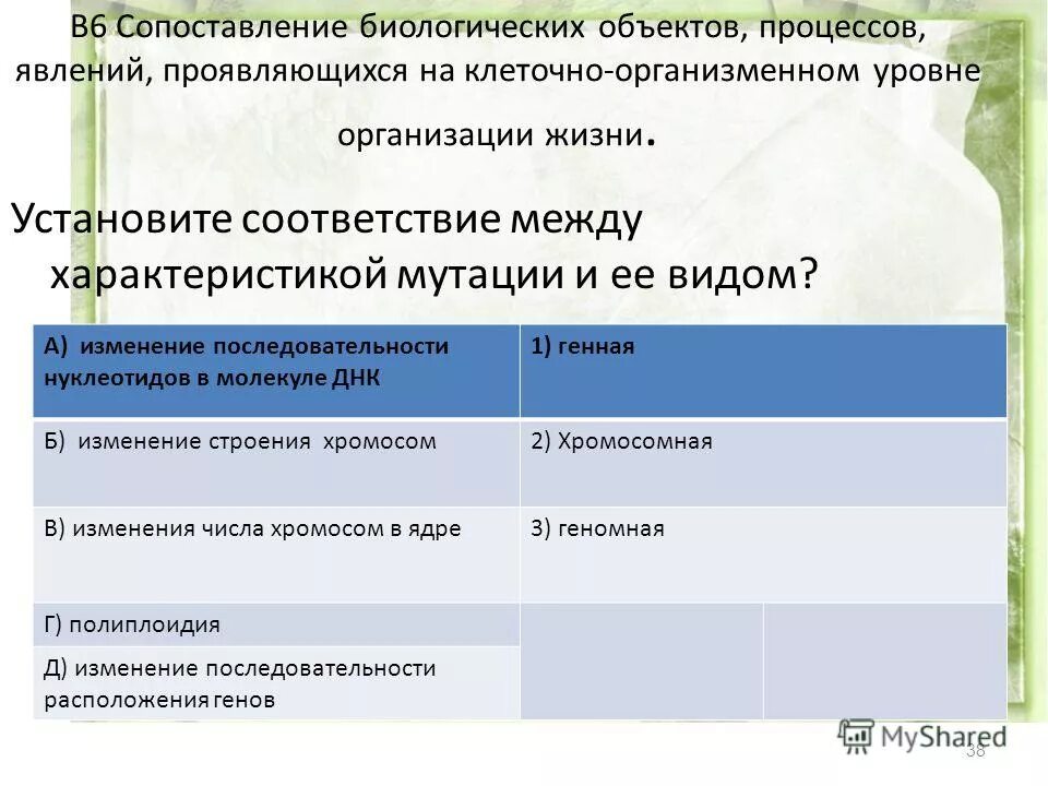 Последовательность изменения строения