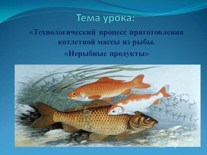 рыба в работе характеристика