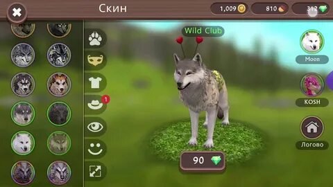 Вилд клаб