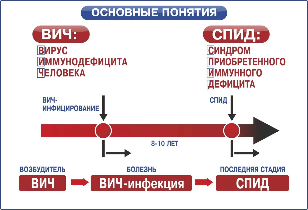 Вич 3 стадия. Стадии вич инфекции. вич инфекция 3 стадия. спид последняя стадия вич инфекции. морфология стадий вич инфекции.