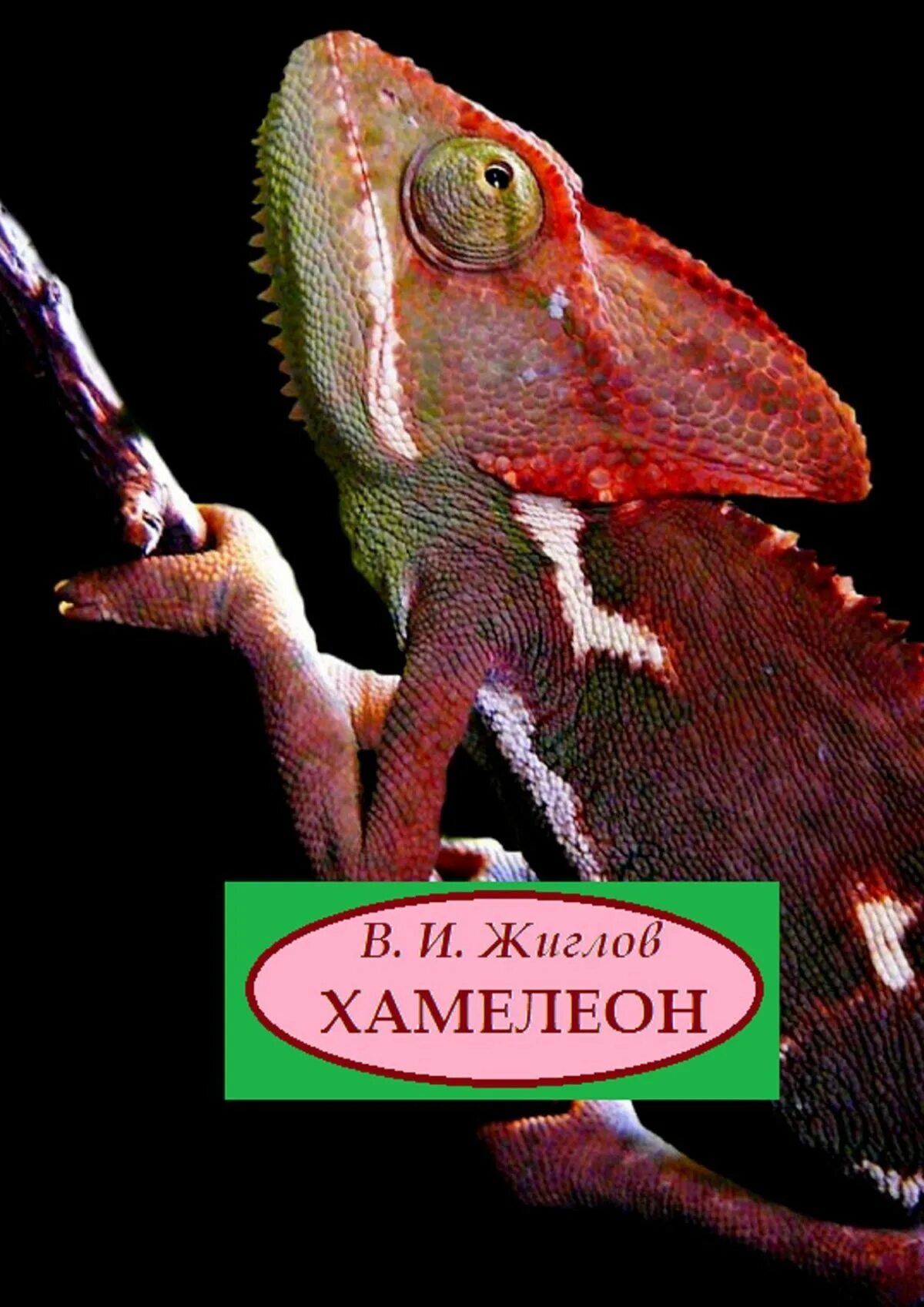 Хамелеон книга отшельник. Книга "хамелеон". Книга про хамелеонов. Хамелеона книга 2. Хамелеон Рогач.