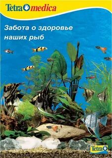 Тетра книга