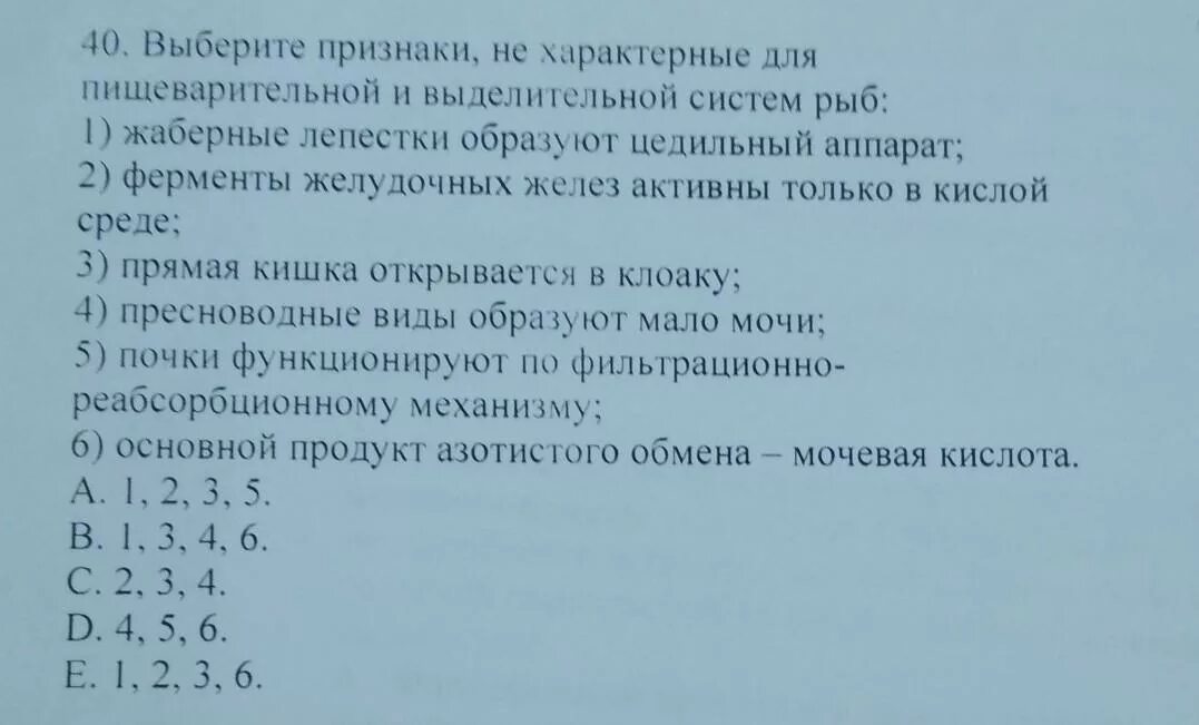 Выберите признаки характерные для легких человека. Выберите признаки характерные для рыб. Выберите признаки характерные для водорода. Выберите признаки относящиеся к простейшим. Выберите признаки относящиеся к простейшим животным.