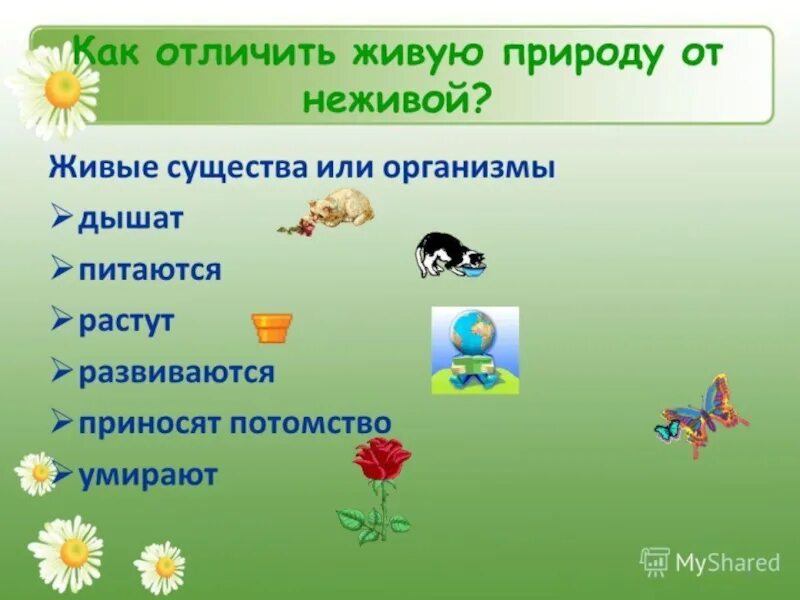 Все что окружает человека называется