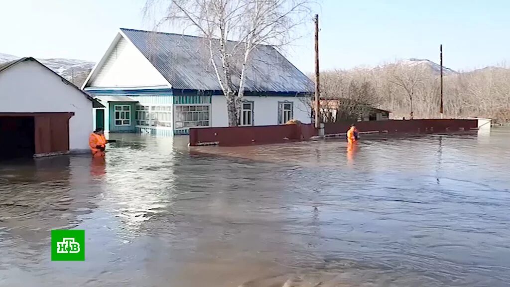 Потоп в кировском алтайский край. Быстрый исток алтайский край музей. Быстрый исток наводнение 2014. Природа быстрого истока алтайский край. Село быстрый исток.