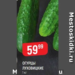 Огурец сорта луховицкий отзывы