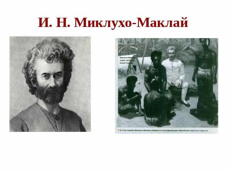 Установите соответствие н н миклухо маклай. Н. н. миклухо-маклай. портрет миклухо маклая.
