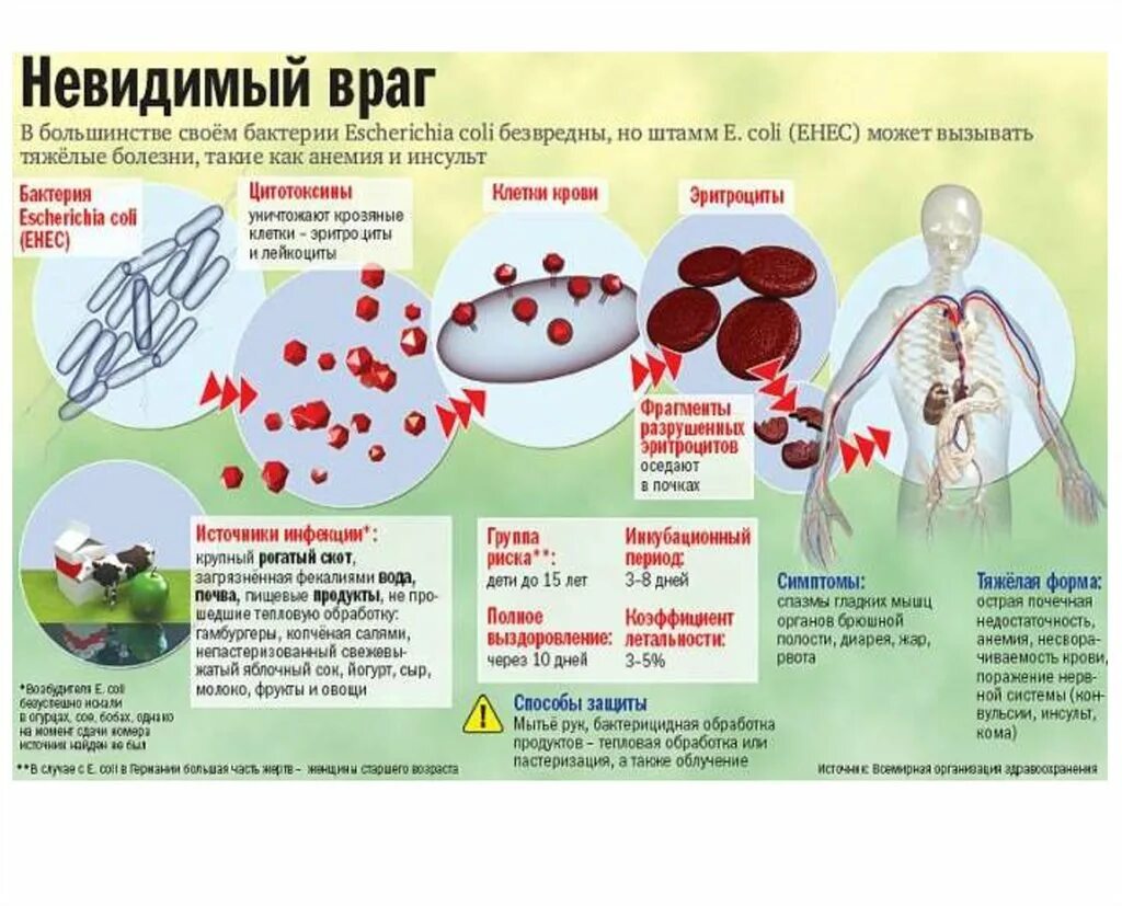 Почему крови кишечник. Факторы заражения кишечных инфекций. Острые кишечные инфекции симптомы. Признаки кишечной инфекции. Кишечные инфекции у детей.