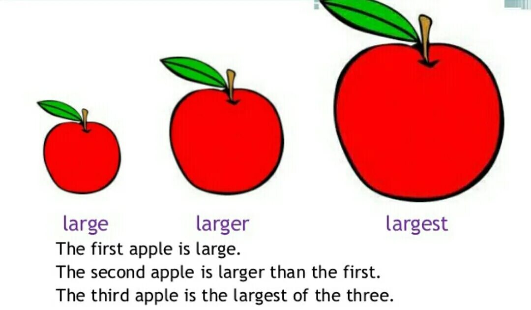 Big large разница. Разница между big и large. Big little разница. Big large great. Comparisons big