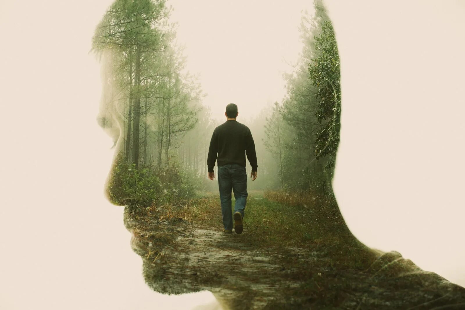 Одинокий человек в лесу. Человек уходит. Человек созерцает природу. Природа внутри человека