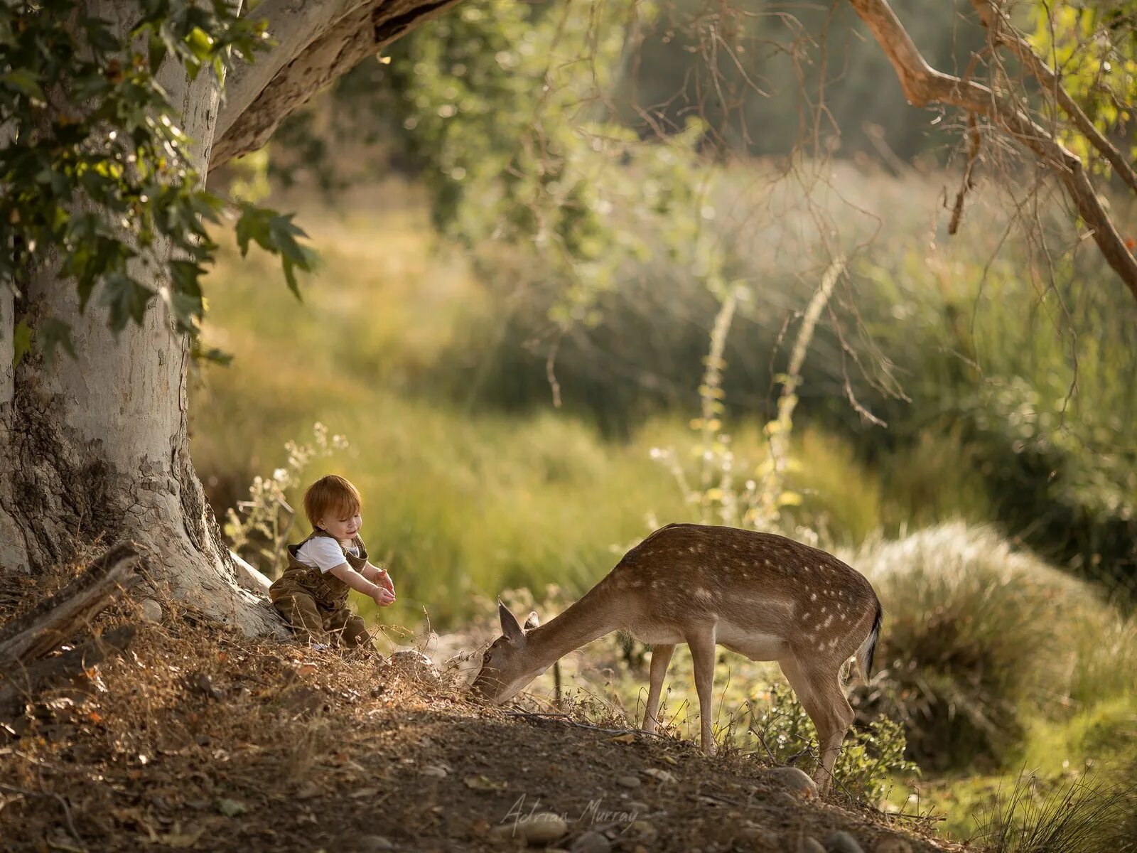 Kindness to animals. Природа и животные. Природа человек животное. Люди и животные на природе. Дети животные природа.