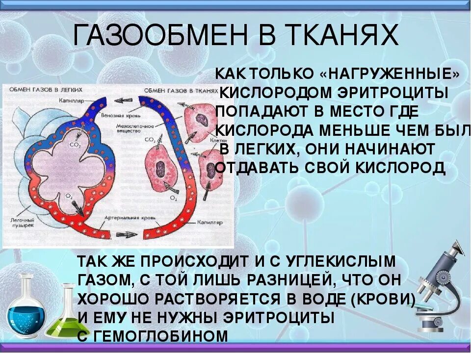 Второй после кислорода. Газообмен в организме. Газообмен в легких. Ufpjj,Vty dkturb[ BNRFYZ[. Как происходит газообмен в тканях.