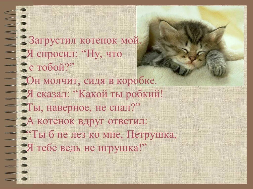 Сочинение про котенка. Сочинение мой котенок. Описание котенка сочинение. Сочинение на тему кот. Описание про кошку 5 класс